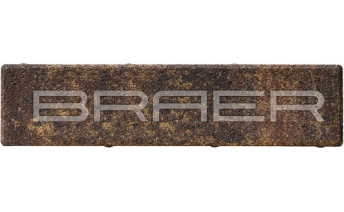 Braer Ригель 2.0