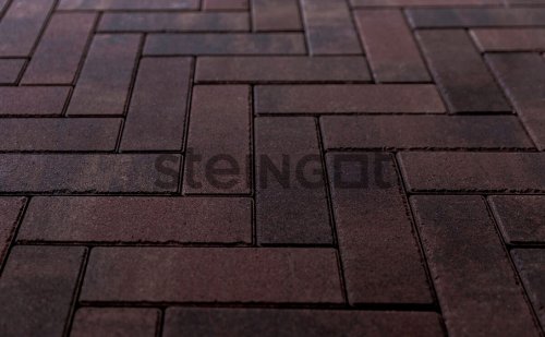 Steingot Паркет