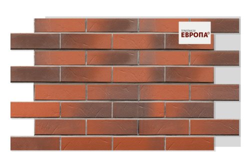 Европа Rotbunt struktur