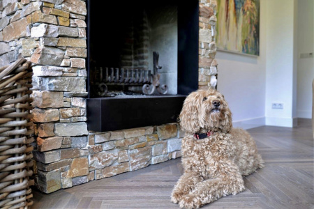 Натуральный камень Pharaon Кварцит бежевый грубый 200x550 мм Натуральный камень Pharaon Кварцит бежевый грубый 200x550 мм